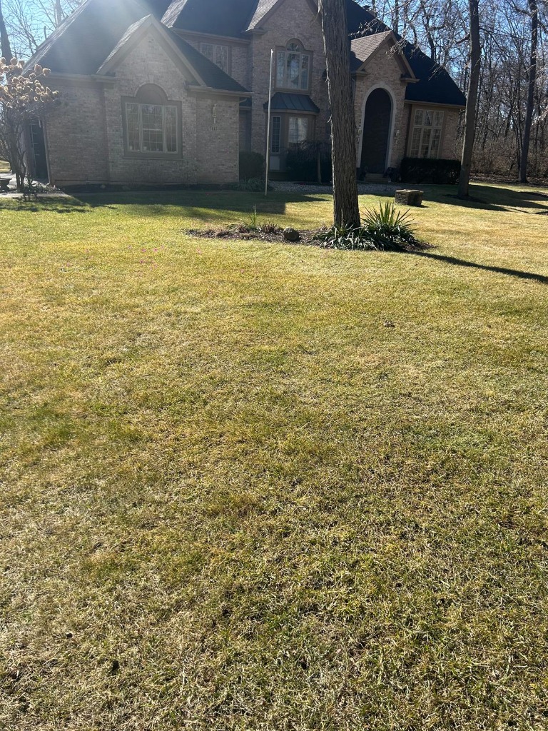 McHenry Project - Final Result